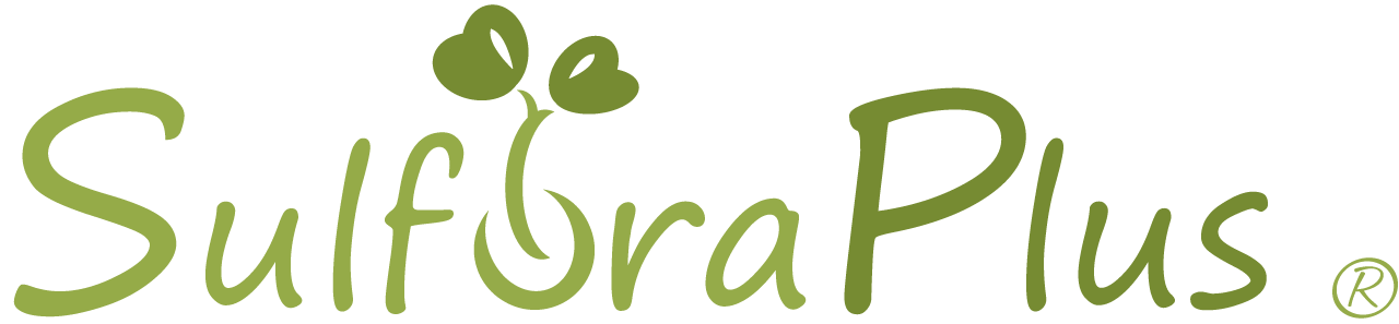 SulforaPlus logo