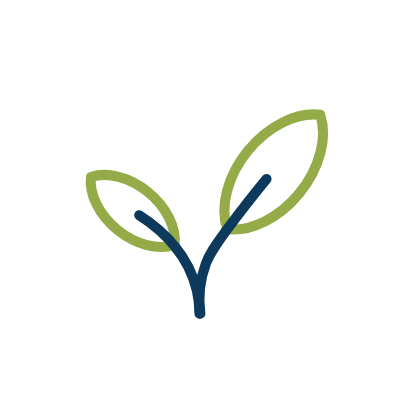 wired-outline-586-vege (1)