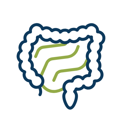 wired-outline-1234-digestion (1)